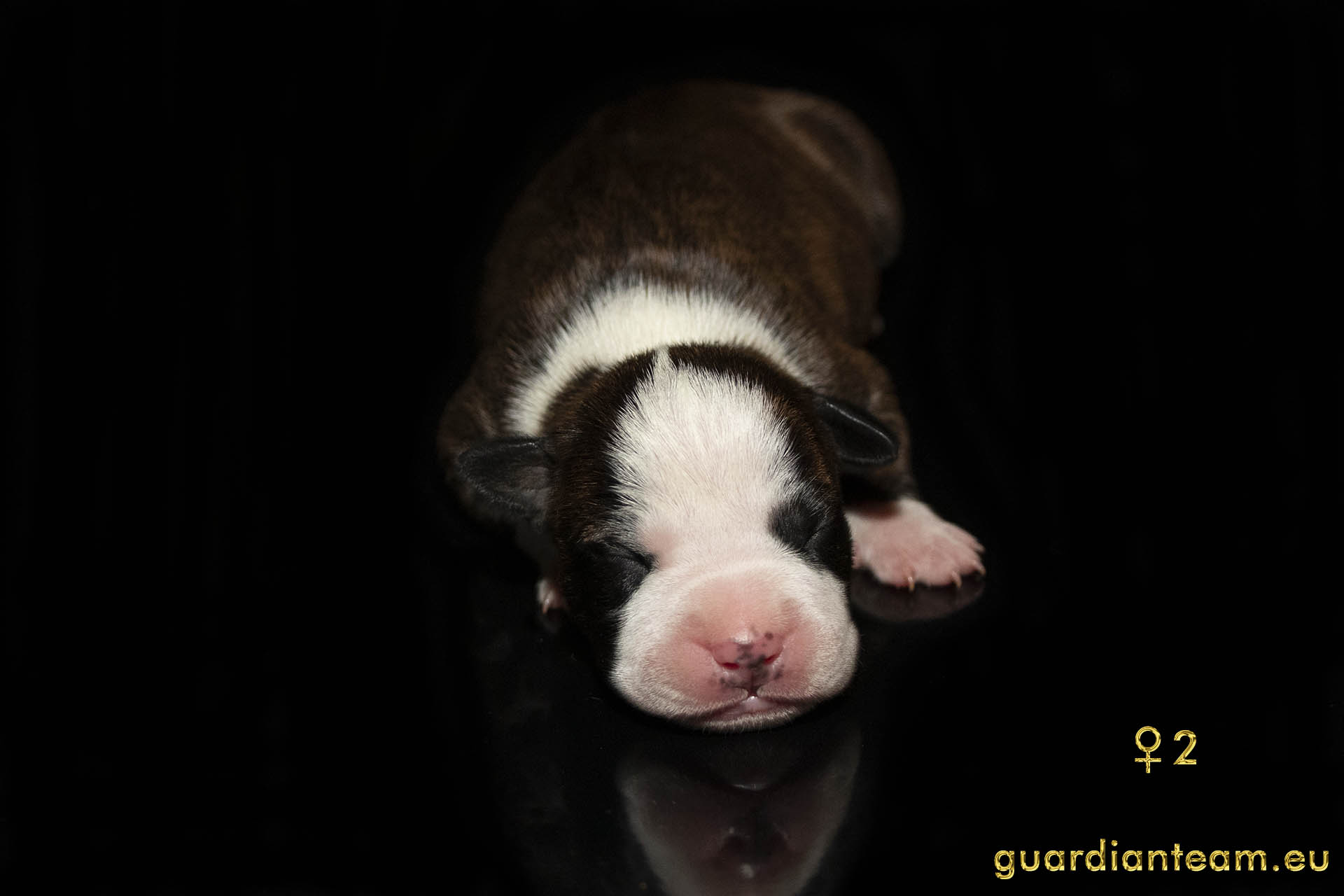 MIOT Y (2021.12.17) / FEMALE 2