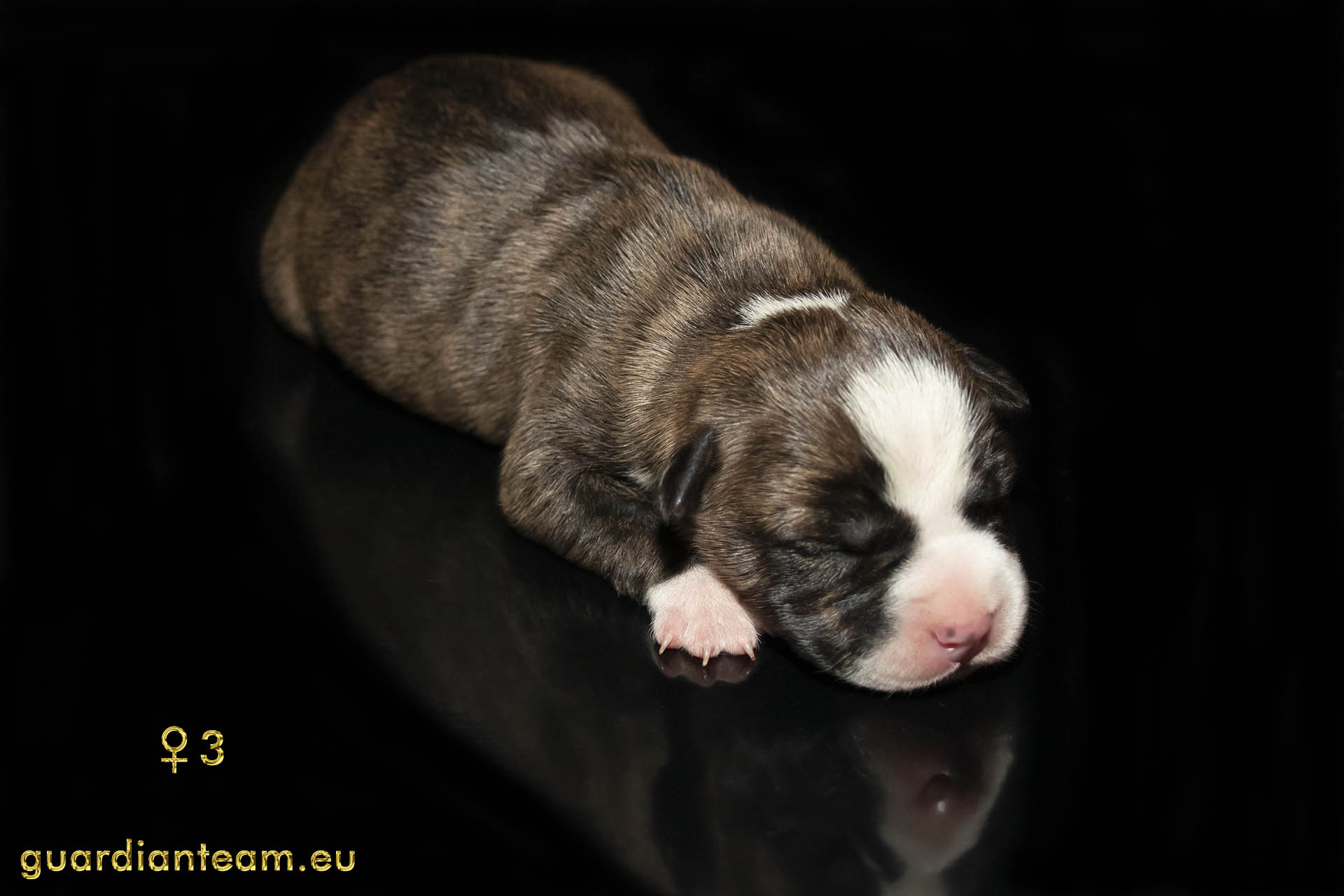 MIOT Y (2021.12.17) / FEMALE 3