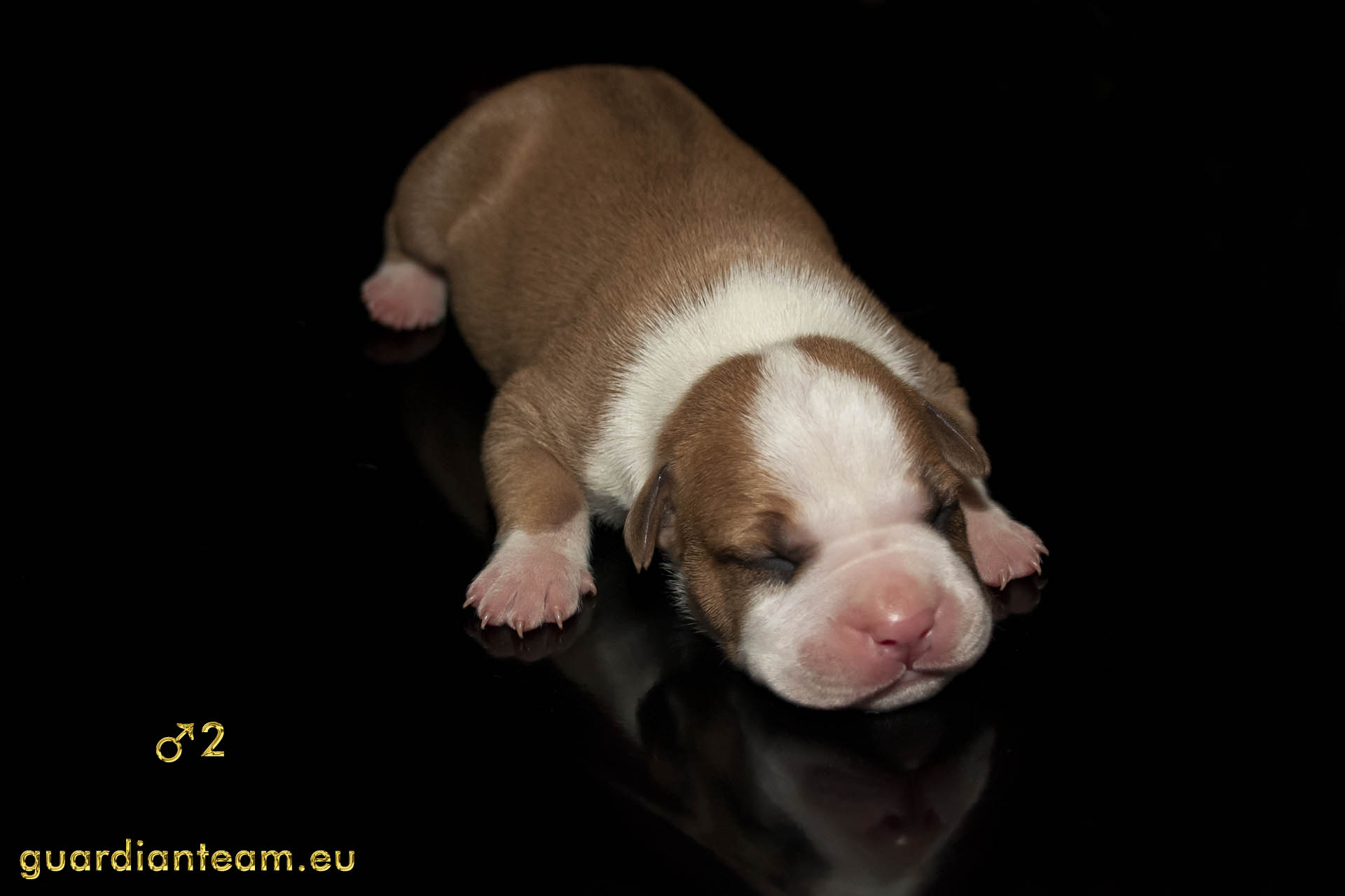 MIOT Y (2021.12.17) / MALE 2
