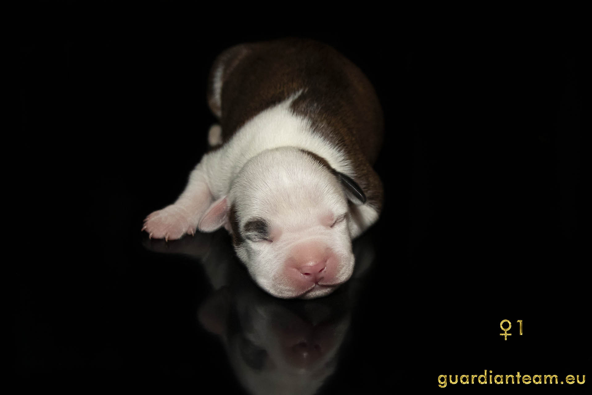 MIOT Y (2021.12.17) / FEMALE 1