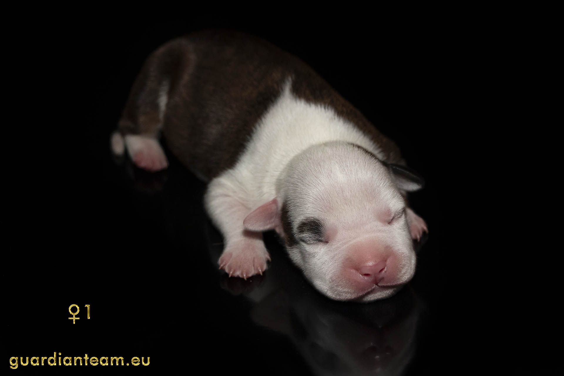MIOT Y (2021.12.17) / FEMALE 1