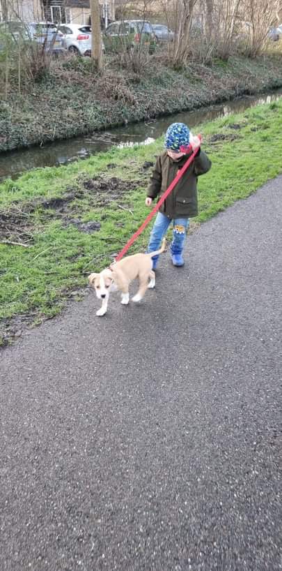 ODIN W DOMU